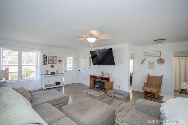 living room with ceiling fan and hardwood / wood-style floors