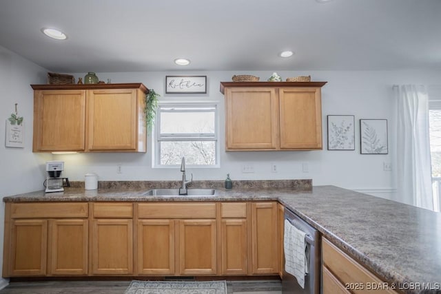 kitchen featuring sink and stainless steel dishwasher