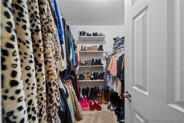 spacious closet featuring carpet