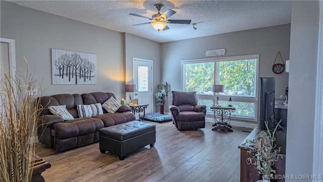 living room featuring hardwood / wood-style floors, a wealth of natural light, and a textured ceiling