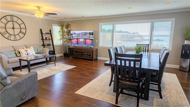 interior space with a healthy amount of sunlight, dark hardwood / wood-style floors, and crown molding