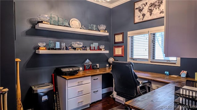 office featuring crown molding and dark hardwood / wood-style floors