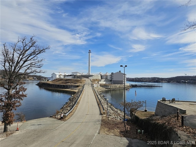 dock area with a water view