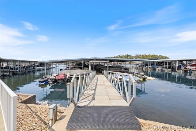 dock area with a water view