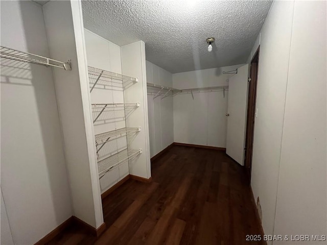 spacious closet featuring dark hardwood / wood-style floors