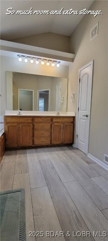 bathroom with vanity, lofted ceiling, and wood-type flooring