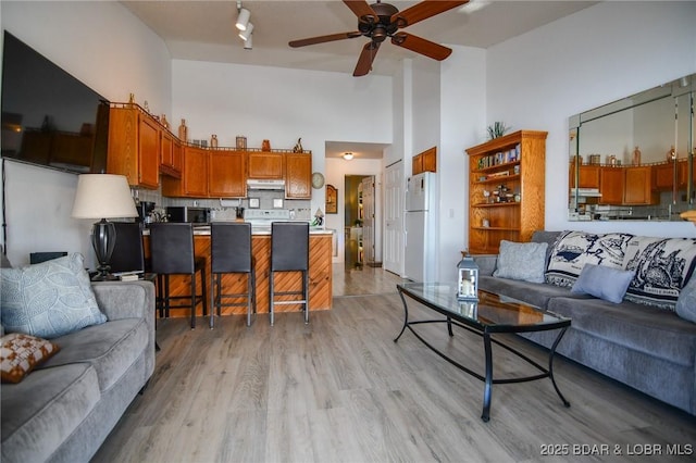 788 Kersten Way Unit A308, Osage Beach, MO 65065 - living area featuring high vaulted ceiling, ceiling fan, rail lighting, and light wood-type flooring