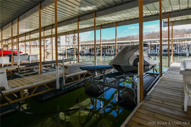 dock area with a water view