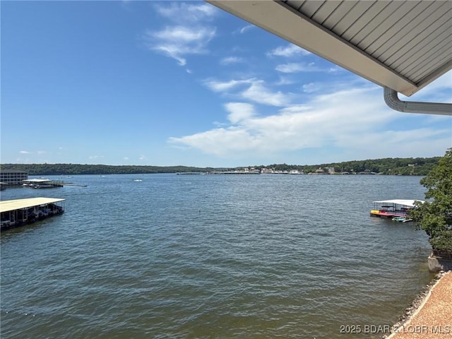 788 Kersten Way Unit A308, Osage Beach, MO 65065 - photo 12