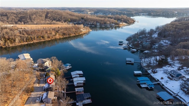 bird's eye view with a water view