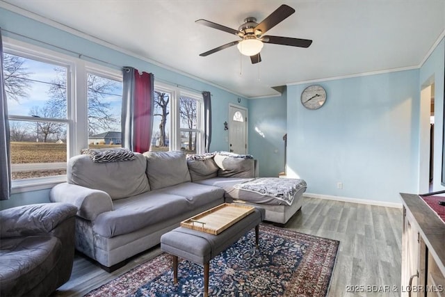 living room with ornamental molding, hardwood / wood-style floors, and ceiling fan