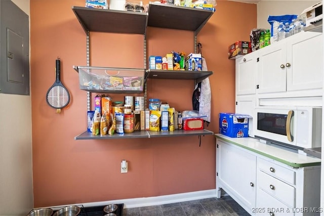 pantry featuring electric panel