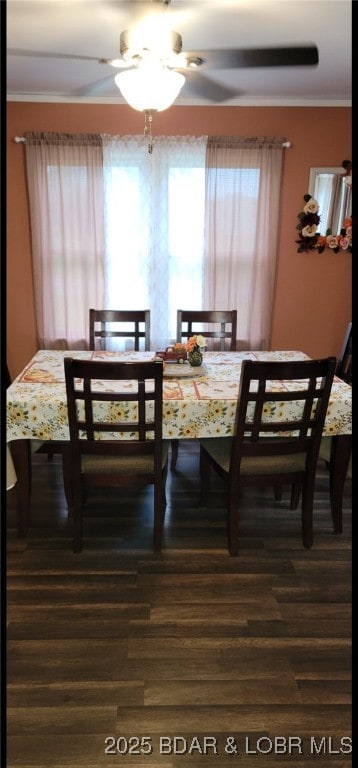 dining area with ceiling fan, ornamental molding, and dark hardwood / wood-style flooring