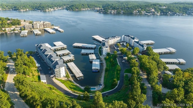 drone / aerial view with a water view