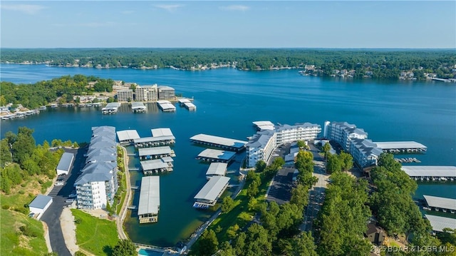 bird's eye view with a forest view and a water view