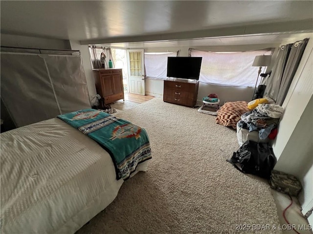 bedroom featuring carpet floors