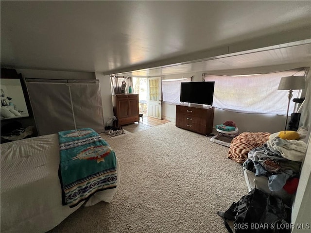 bedroom with carpet flooring and a closet