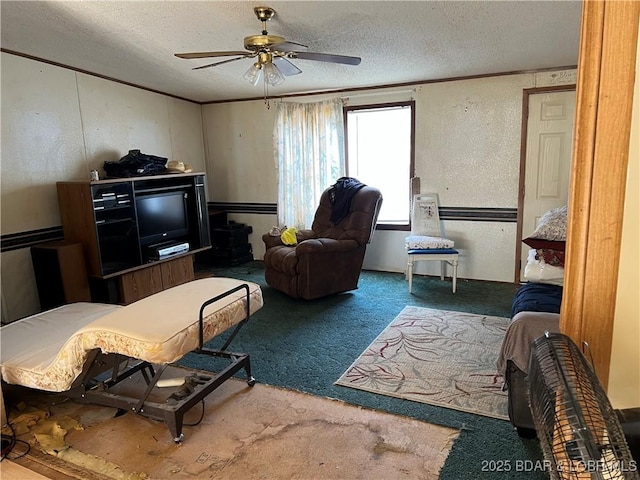 living room featuring ceiling fan, ornamental molding, a textured ceiling, and carpet flooring