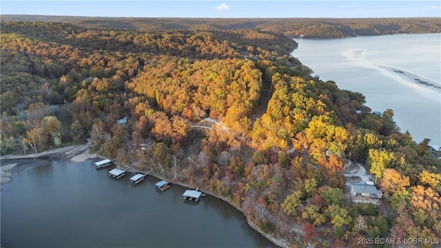 drone / aerial view featuring a water view