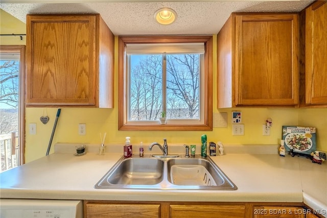 kitchen with white dishwasher, sink, a textured ceiling, and a wealth of natural light