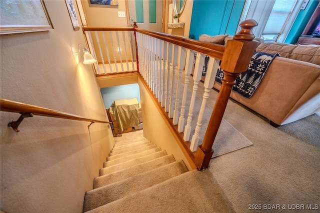 staircase with carpet flooring