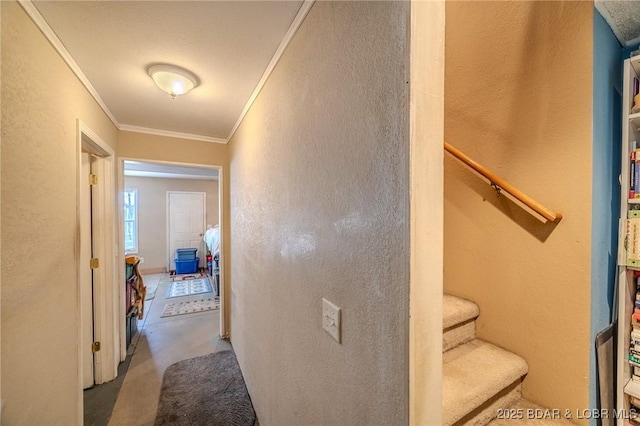 hallway featuring ornamental molding