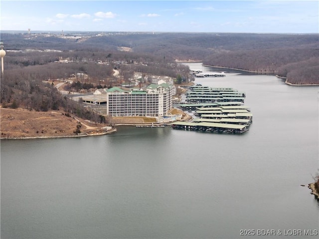 drone / aerial view with a water view