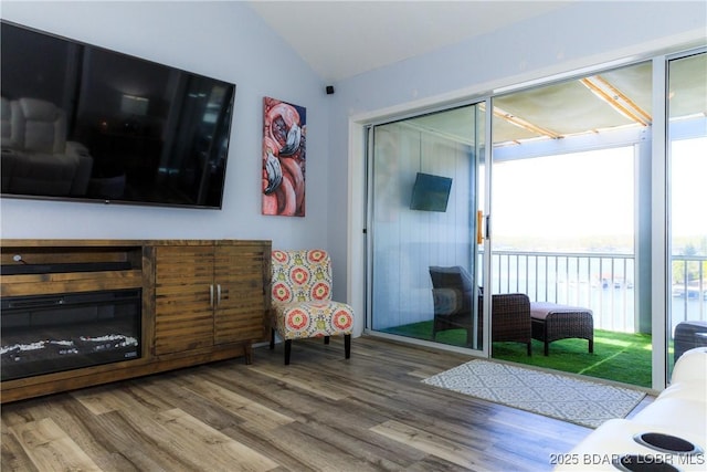 living room featuring lofted ceiling and wood-type flooring