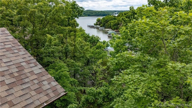 223 Waterscape Dr, Osage Beach, MO 65065 - water view with a heavily wooded area