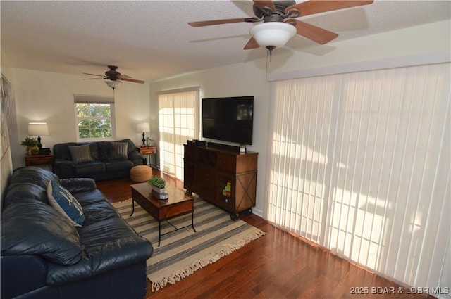 living room with hardwood / wood-style floors and a textured ceiling