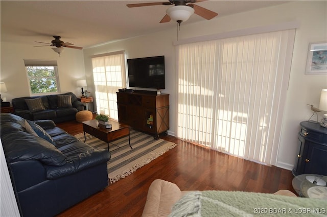 living room featuring dark wood-type flooring