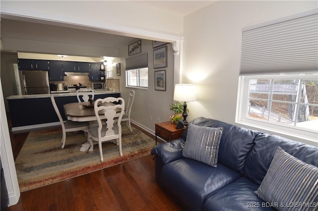 living room with dark hardwood / wood-style flooring