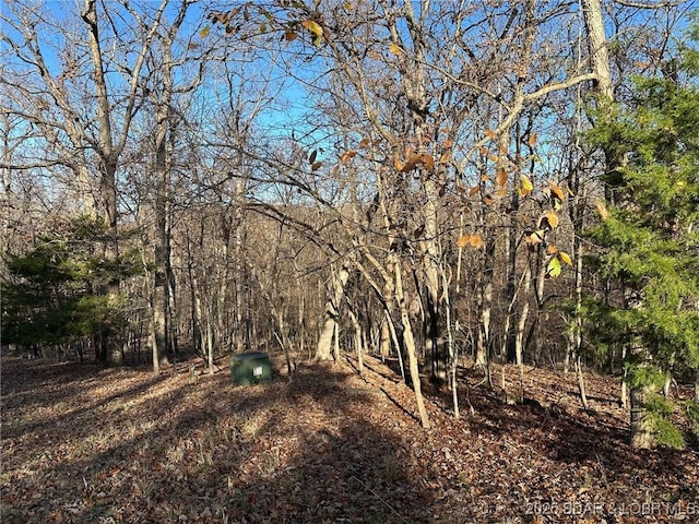 LOT121 Cove Ct, Lake Ozark MO, 65049 land for sale