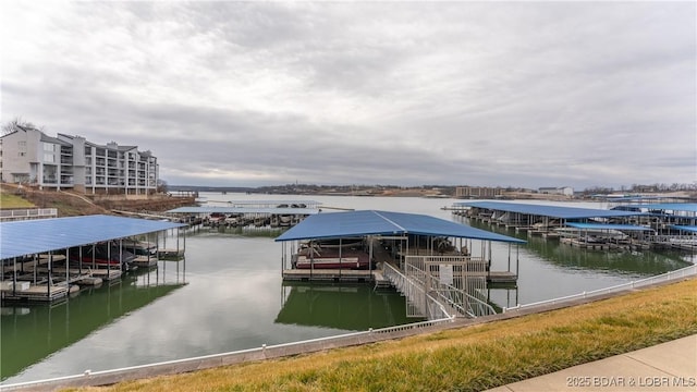 dock area with a water view