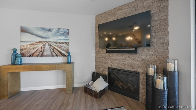 living room featuring wood-type flooring and a fireplace