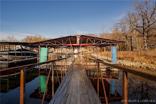 dock area with a water view