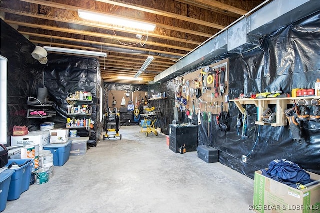 basement featuring a workshop area