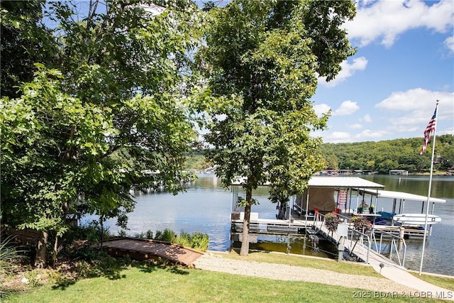 dock area with a water view