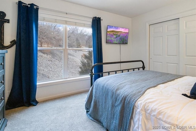 bedroom featuring carpet and a closet