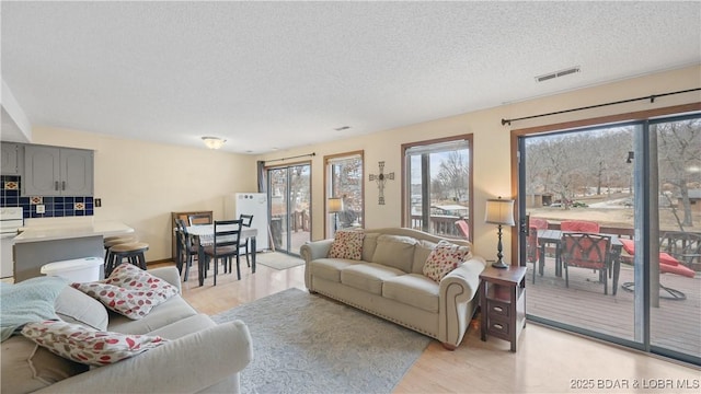 living room featuring a textured ceiling