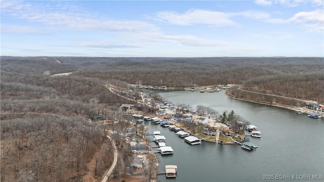 drone / aerial view with a water view