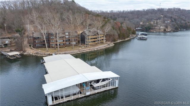 view of dock with a water view