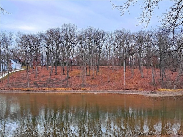 LOT1171 Spring Creek Dr, Porto Cima MO, 65079 land for sale