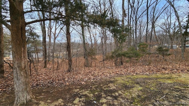 Listing photo 2 for LOT187 Isleworth Ave, Lake Ozark MO 65049