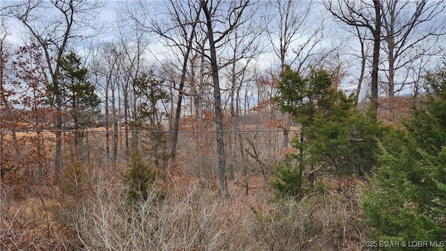 Listing photo 2 for LOT607 Twiggy Ln, Eldon MO 65026