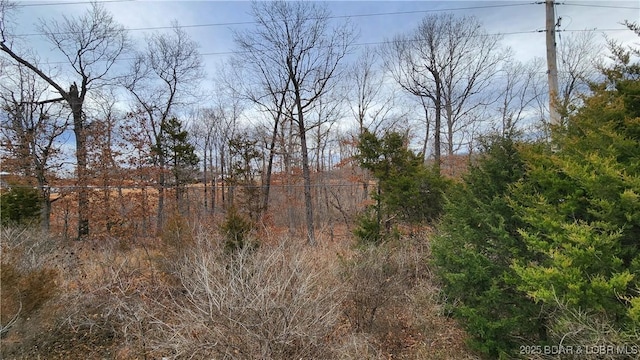 Listing photo 3 for LOT607 Twiggy Ln, Eldon MO 65026