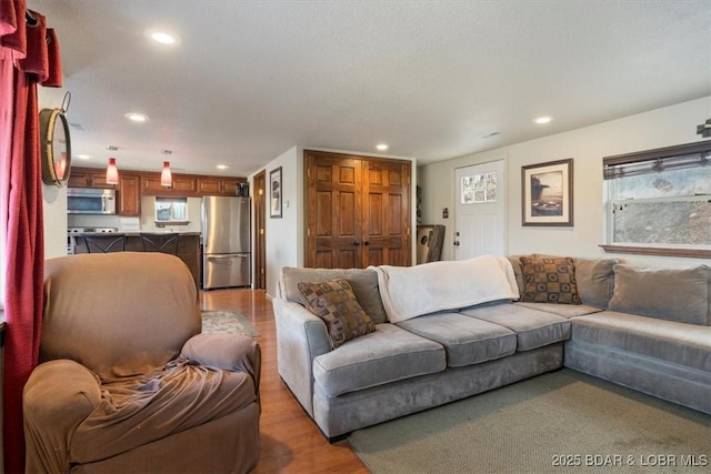 living room with a wealth of natural light and light hardwood / wood-style flooring