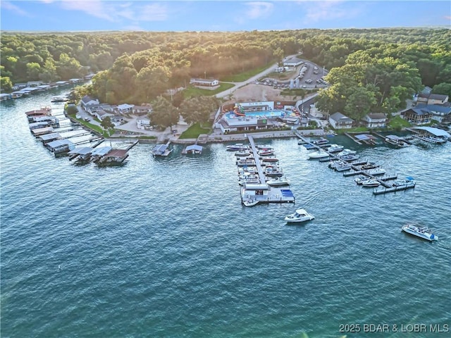 29556 Hunter Rd, Gravois Mills, MO 63069 - aerial view of numerous boat docks and a large body of water