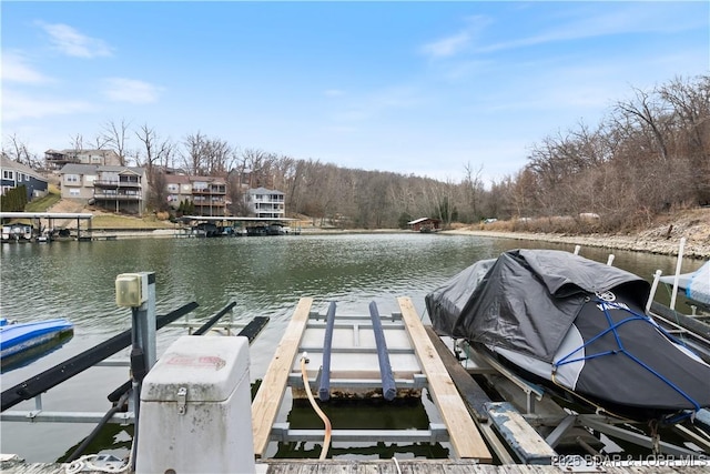 dock area with a water view