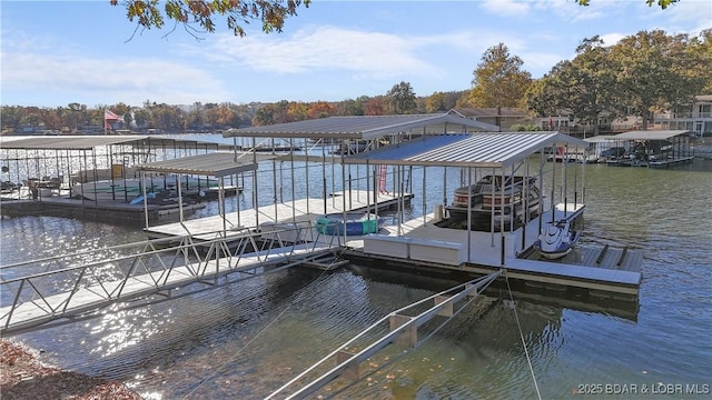 dock area with a water view